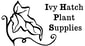 Ivy Hatch Plant Supplies